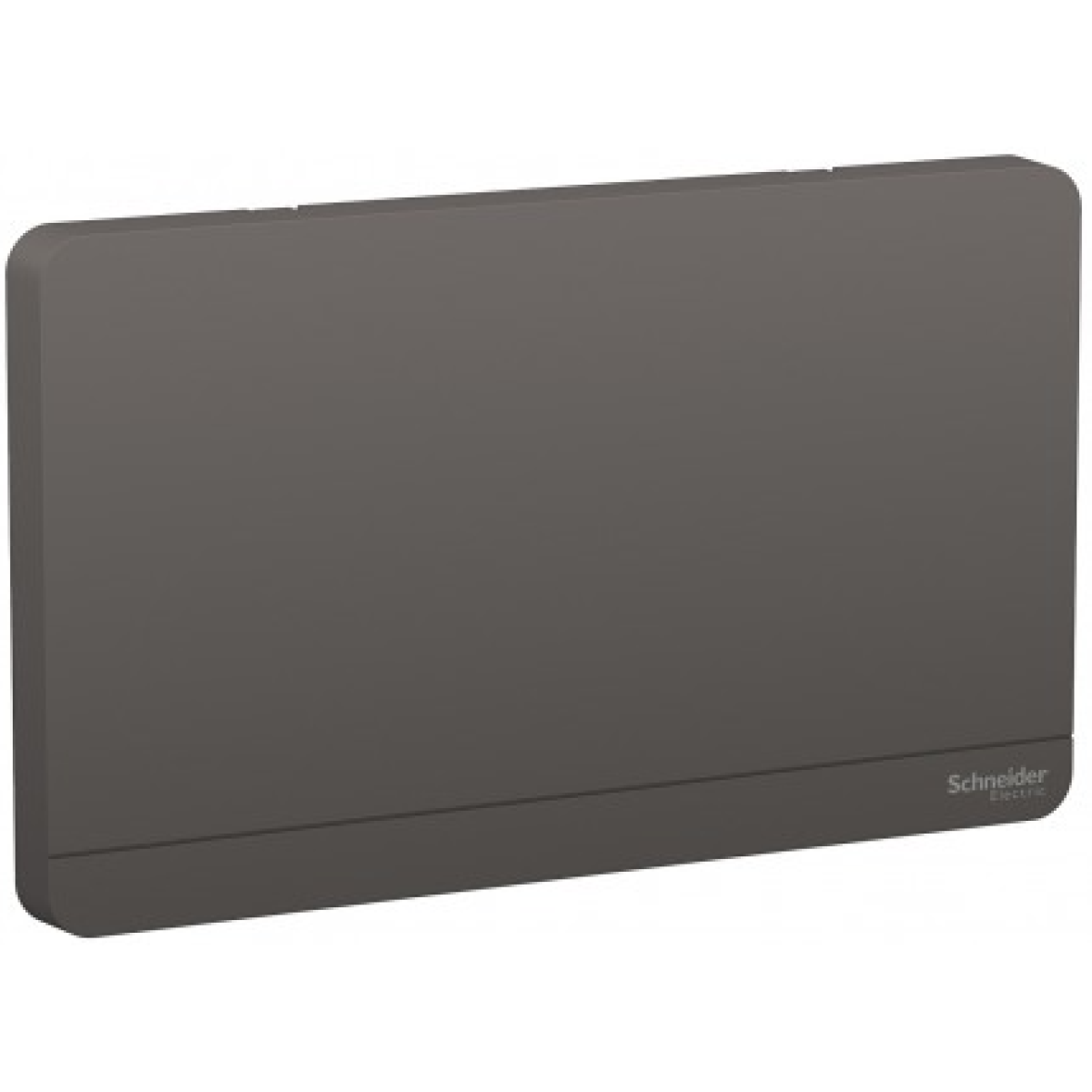 Schneider Electric 施耐德電氣 AvatarOn 兩位空白掣面 (石墨灰) (E8330TX_DG_C5)